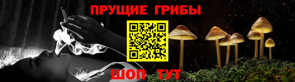Псилоцибиновые грибы прущие грибы  Вход с VPN  Россошь 